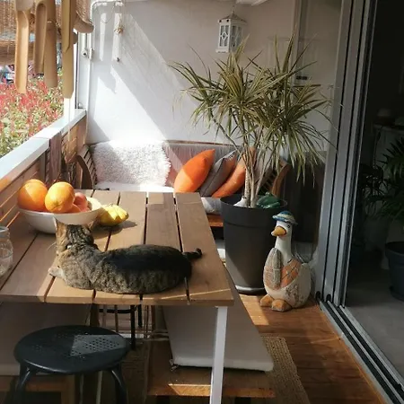 Apartment App Centre 200m